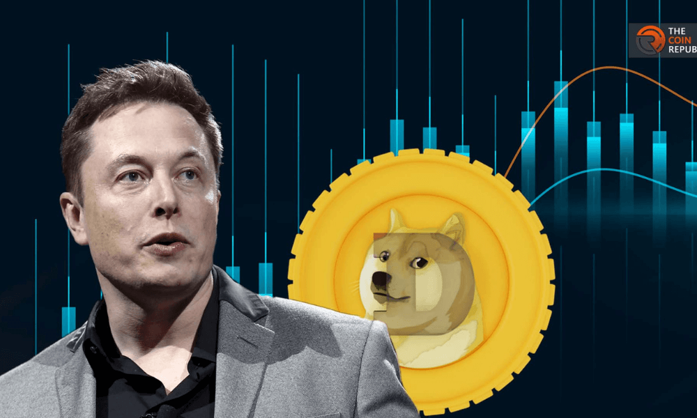 SpaceX to follow Tesla in accepting DOGE payments for merch: Elon Musk